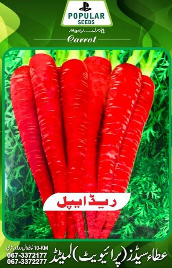 Red Apple carrot seeds