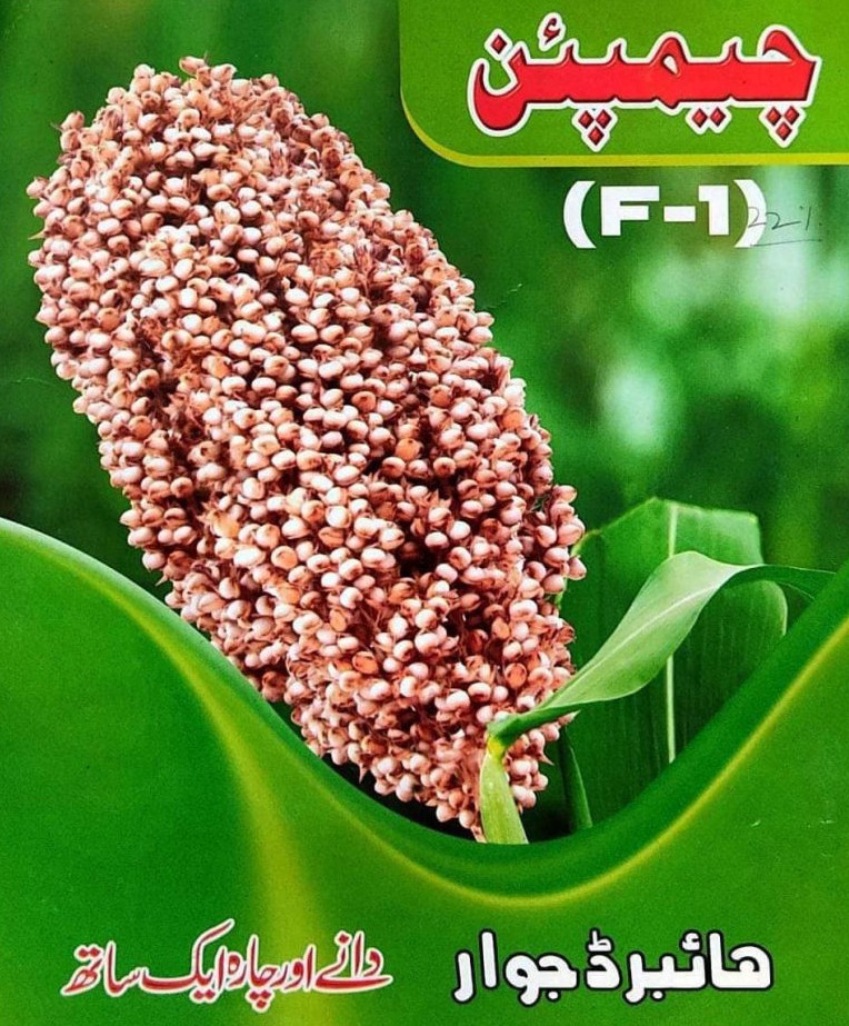 Hybrid Jawar Champion