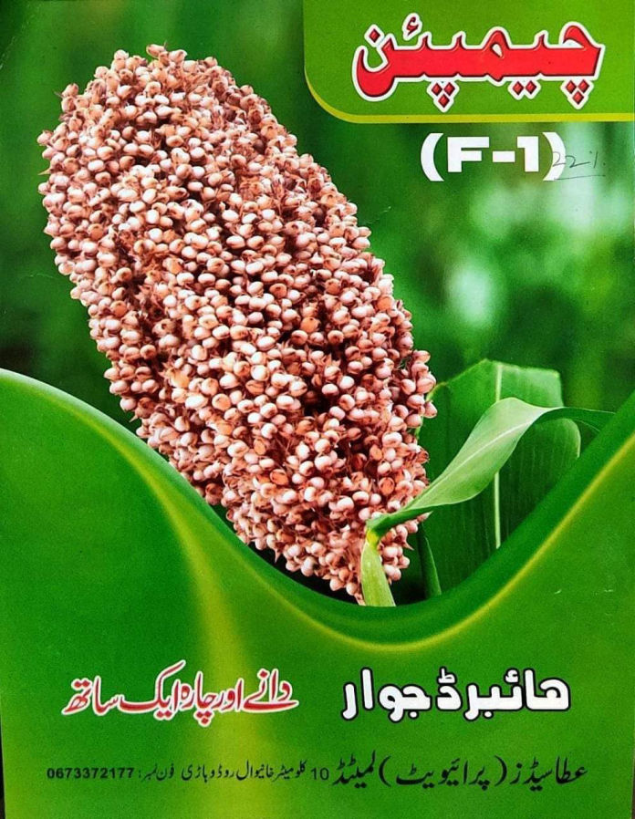 Hybrid Jawar Champion F-1 seed poster